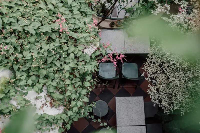 Maple Leaf Garden Design & Care 8